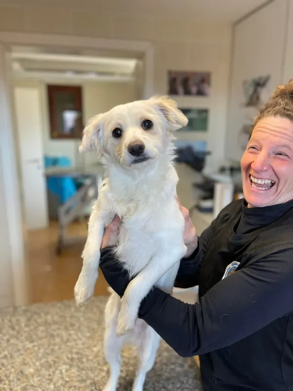 Fahej