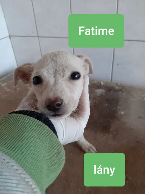 Fatime