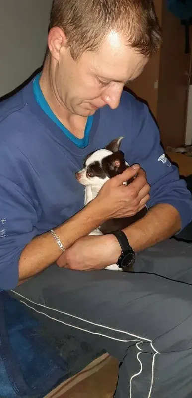 Fina