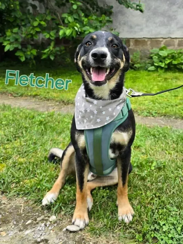 Fletcher