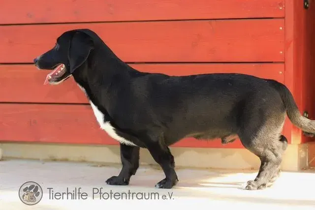 Fritzi