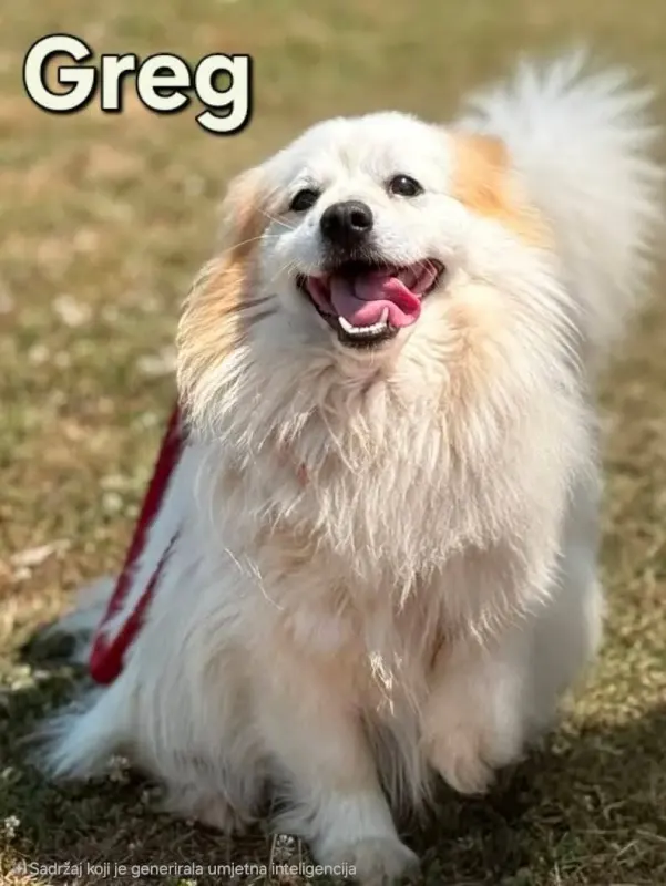 Greg