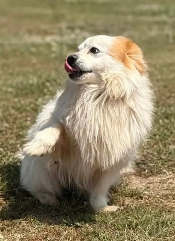 Greg