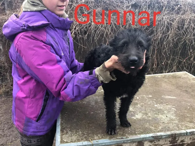 Gunnar