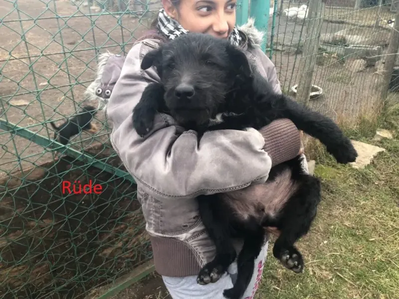 Gunnar