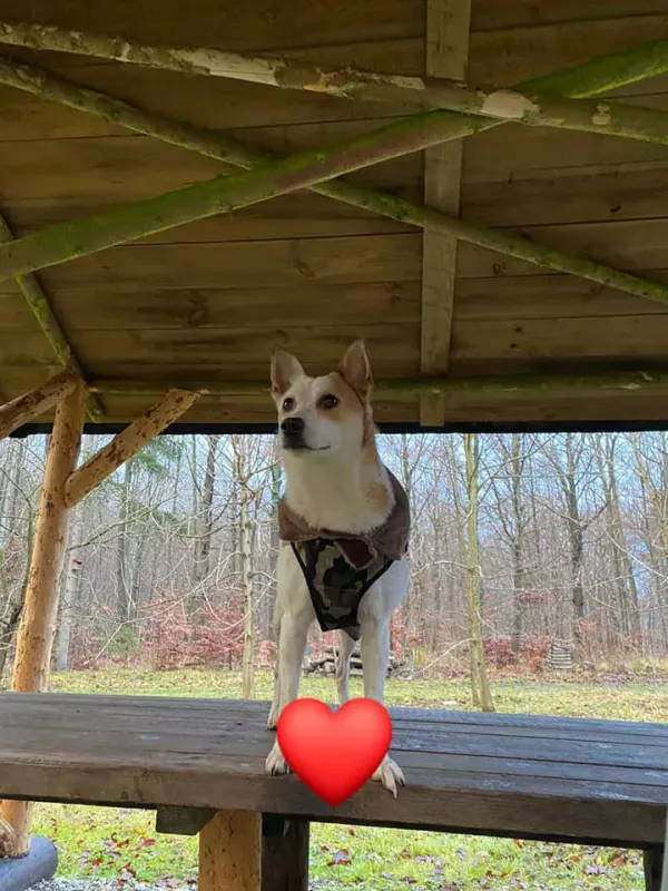 Herminka
