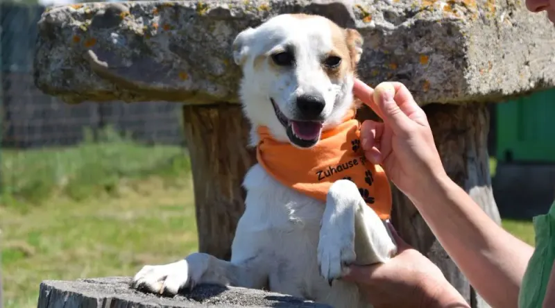 Herminka