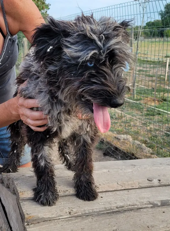 Karma