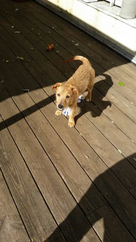 Kasper