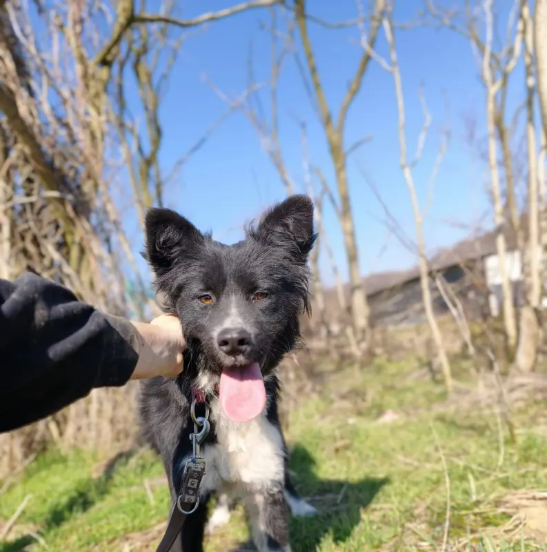Foto von Kaya