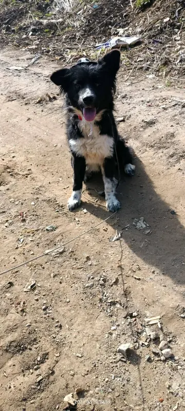 Kaya