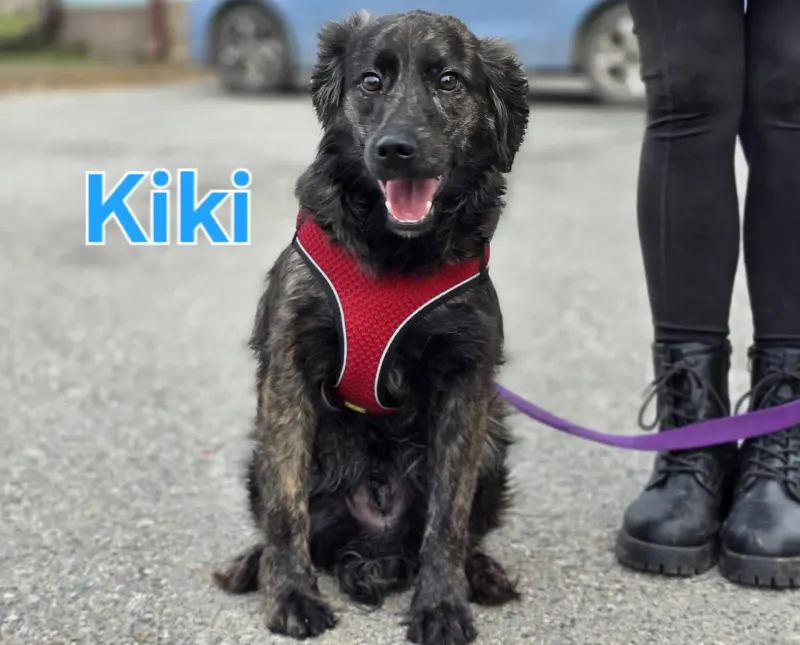 Kiki