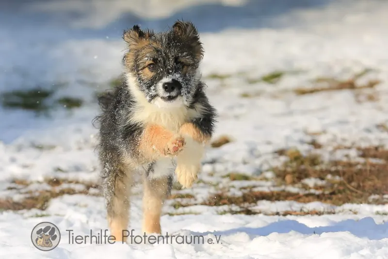 Kiki