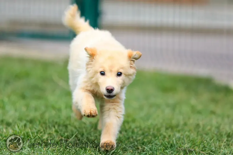 Kimbra