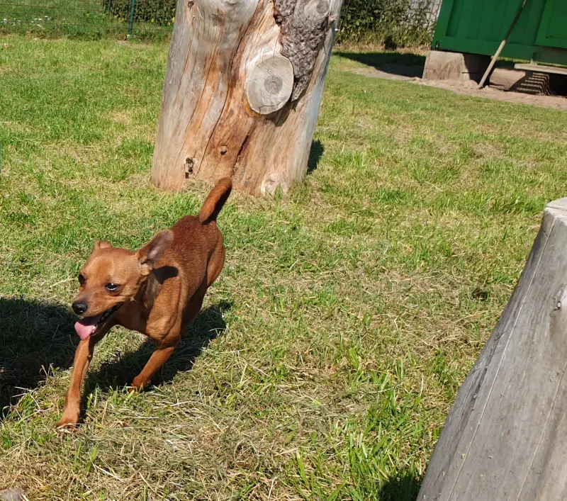 Kuba