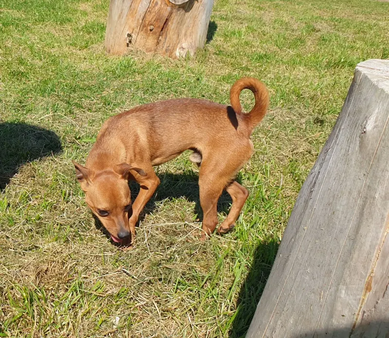 Kuba