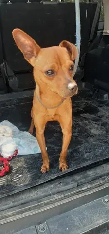 Kuba