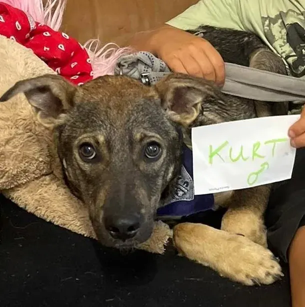 Kurt