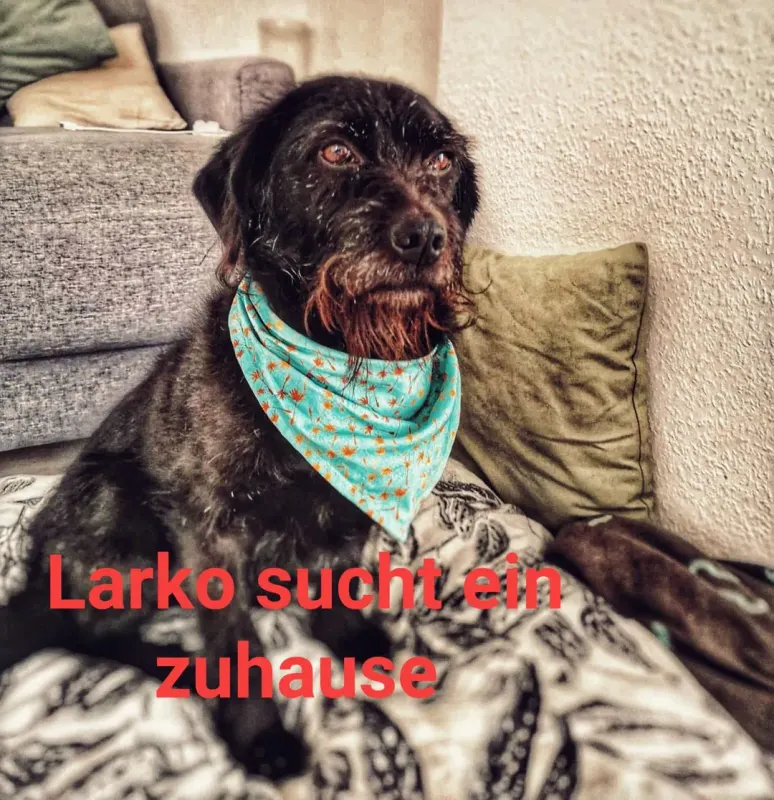 Larko