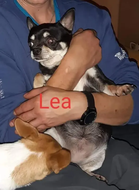 Lea