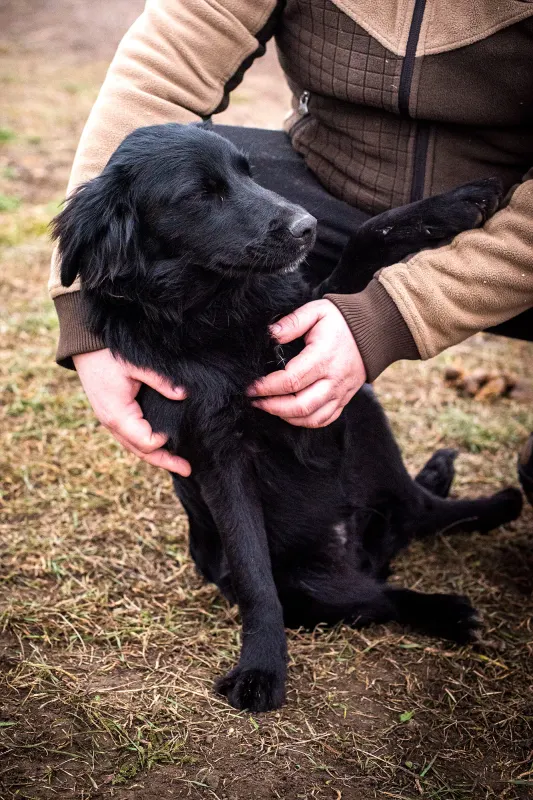 Led