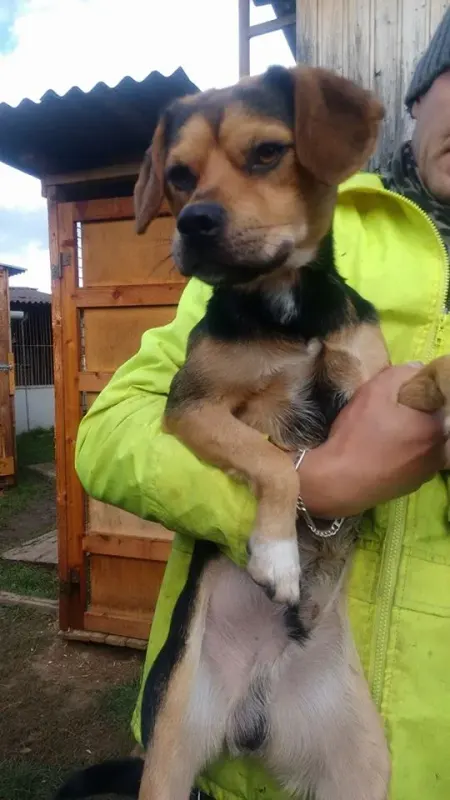 Leo
