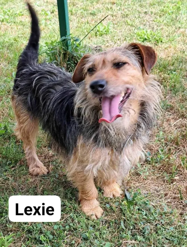 Lexie