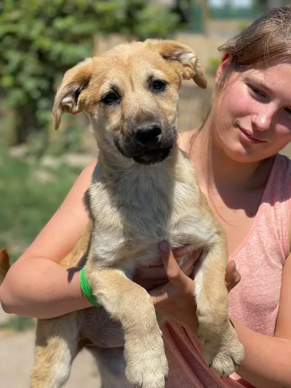 Lila