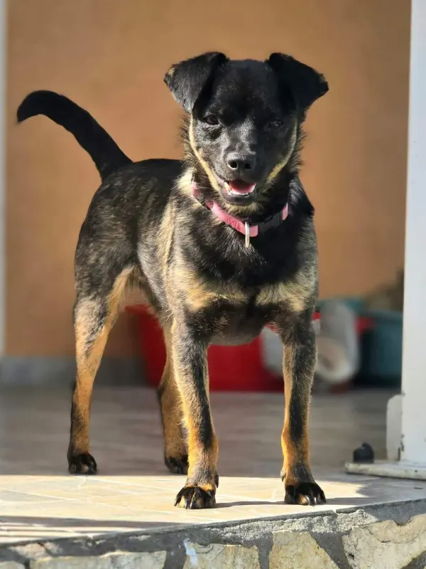Lucy