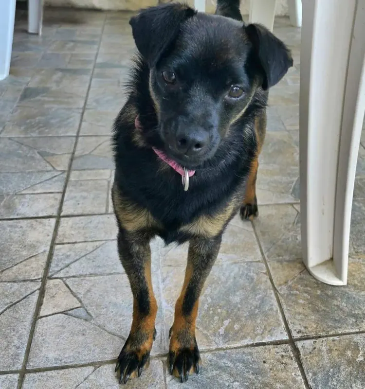 Lucy