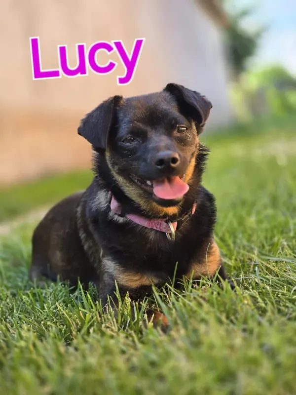 Lucy
