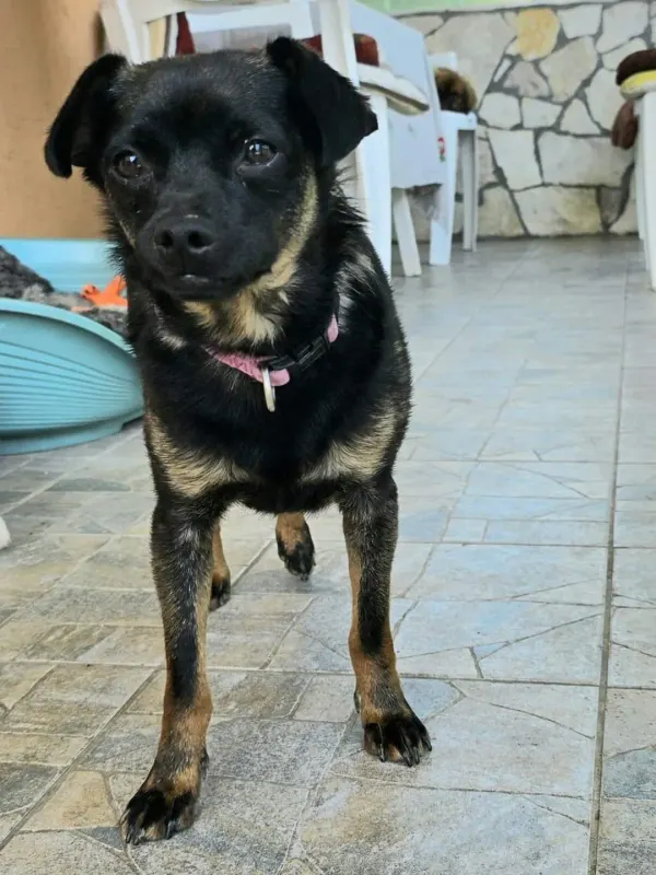 Lucy
