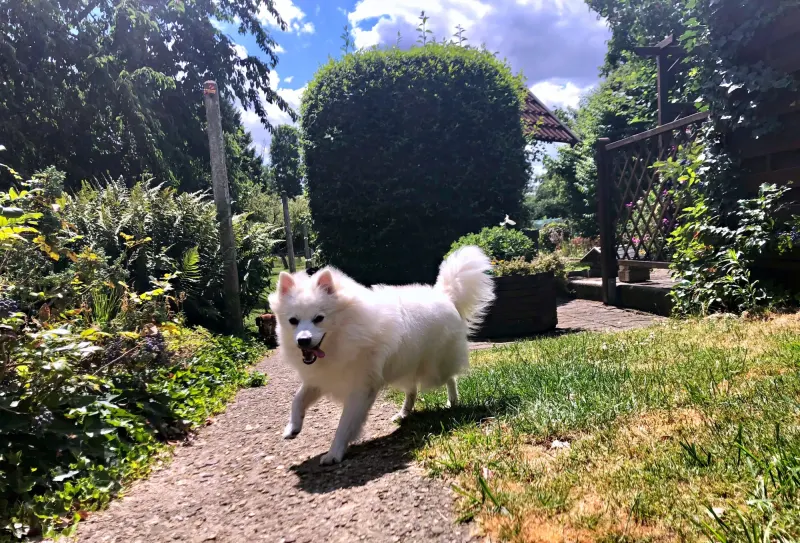 Luna