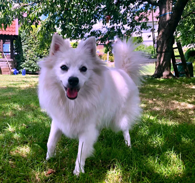 Luna