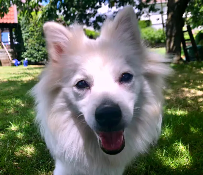 Luna
