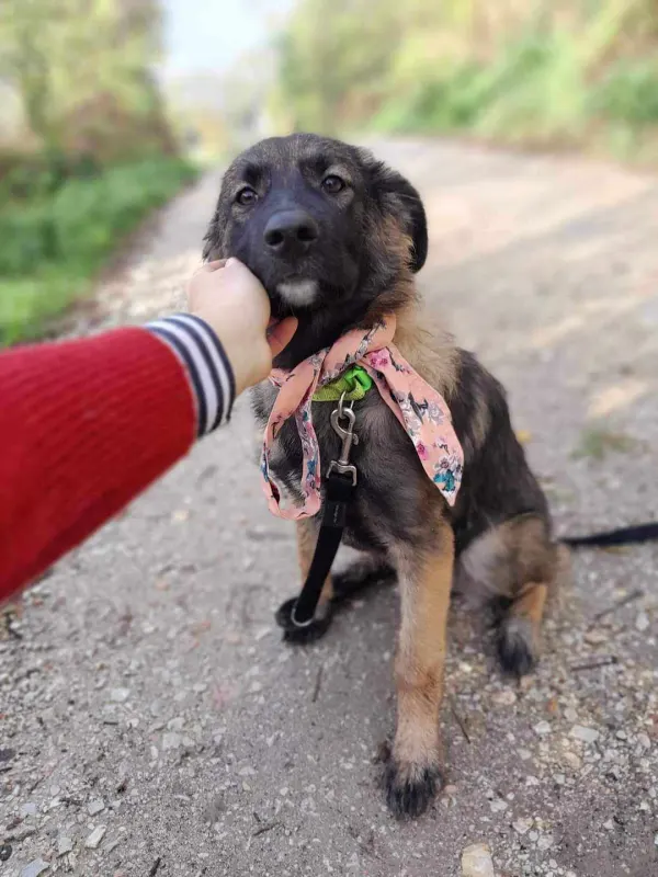 Luna