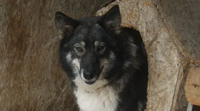 Luzie