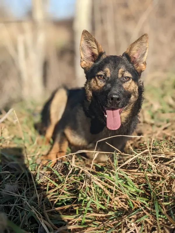 Maggie