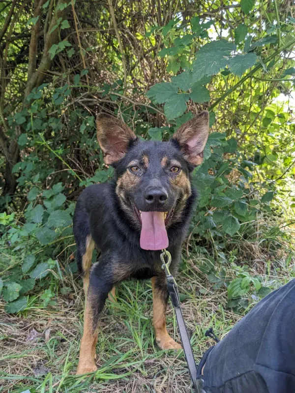 Maggie
