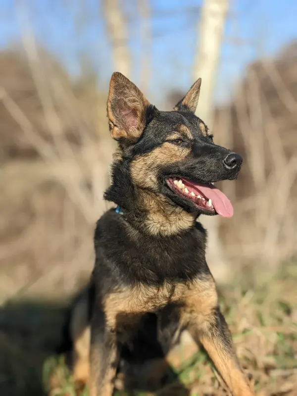 Maggie