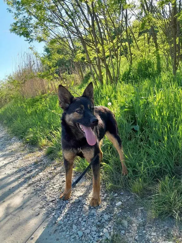 Maggie