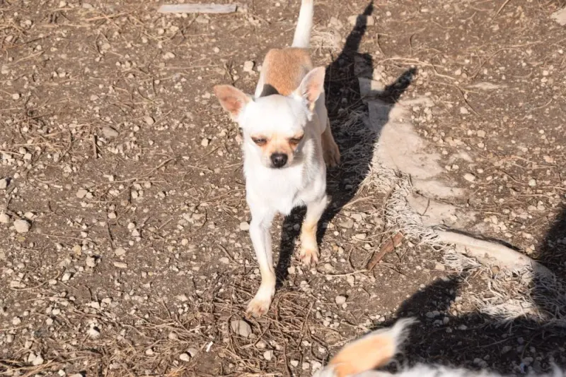 Marco