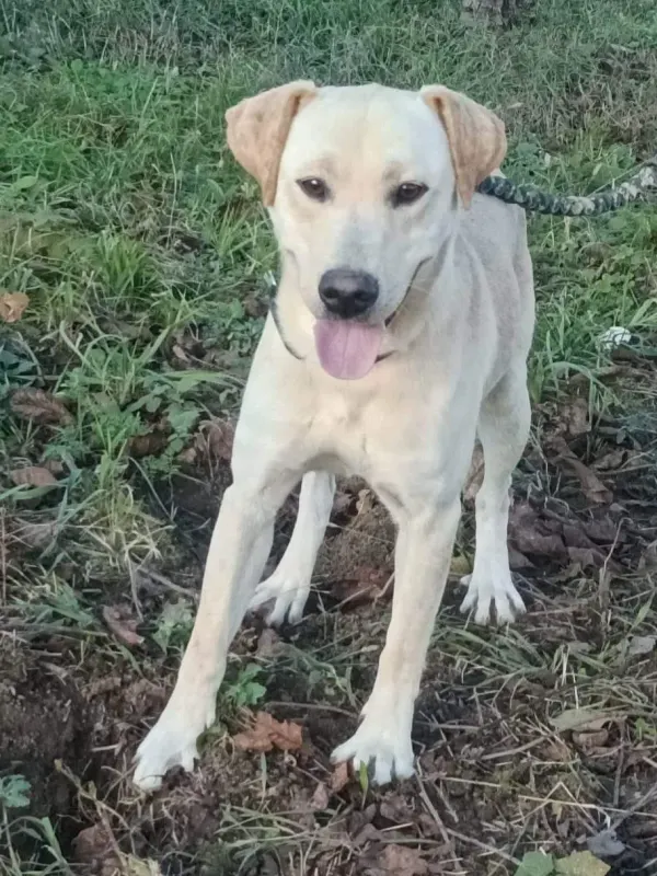 Marley