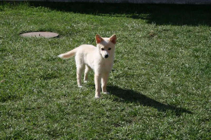 Marley