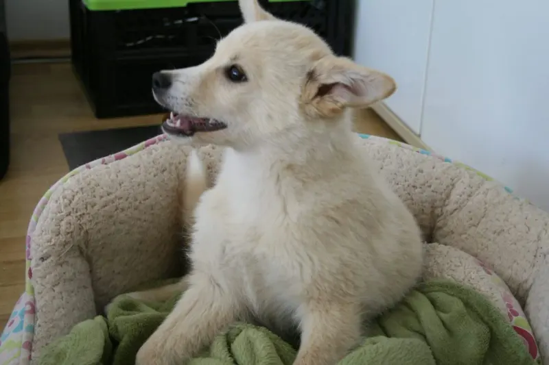 Marley