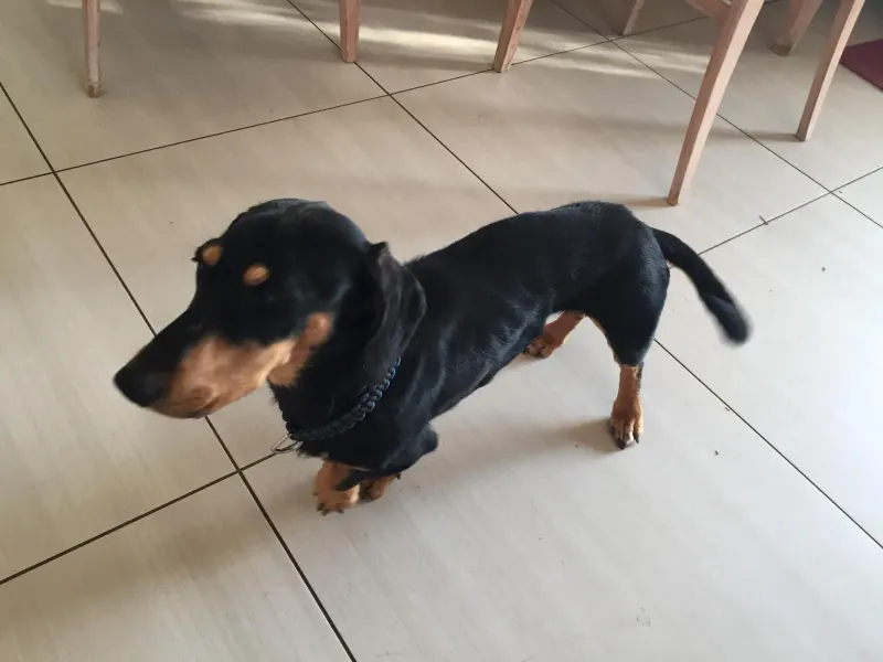 Martin