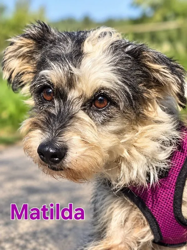 Foto von Matilda