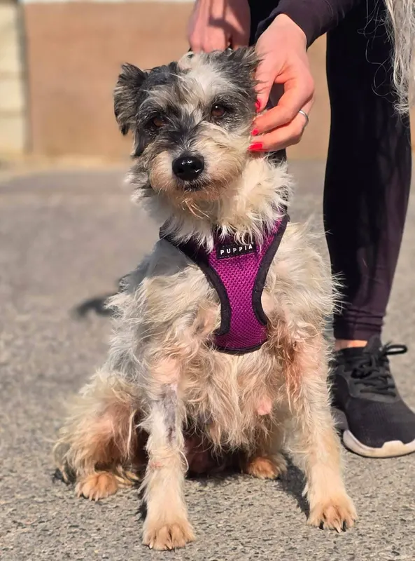 Matilda