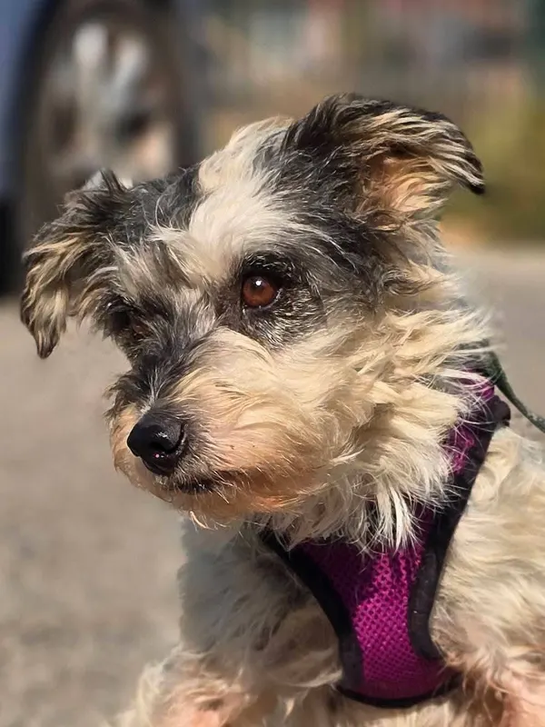 Matilda
