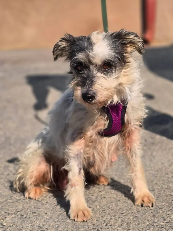 Matilda